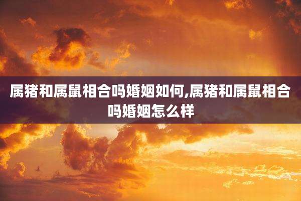 属猪和属鼠相合吗婚姻如何,属猪和属鼠相合吗婚姻怎么样