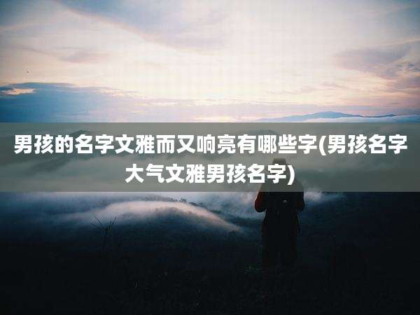 男孩的名字文雅而又响亮有哪些字(男孩名字大气文雅男孩名字)