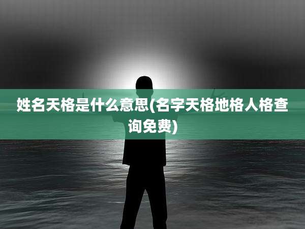 姓名天格是什么意思(名字天格地格人格查询免费)