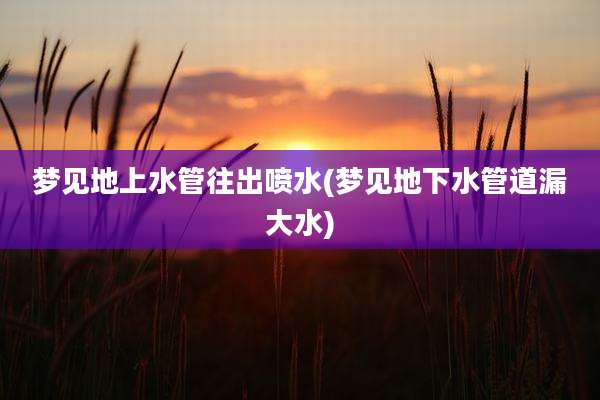 梦见地上水管往出喷水(梦见地下水管道漏大水)