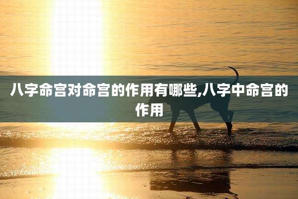 八字命宫对命宫的作用有哪些,八字中命宫的作用