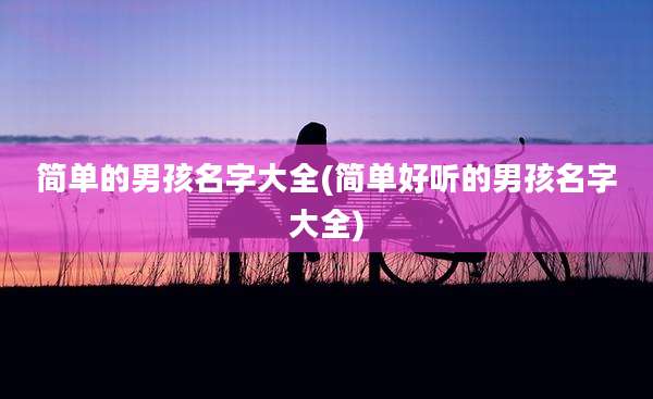 简单的男孩名字大全(简单好听的男孩名字大全)