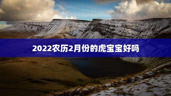 2022农历2月份的虎宝宝好吗