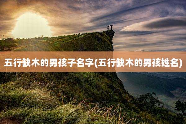 五行缺木的男孩子名字(五行缺木的男孩姓名)