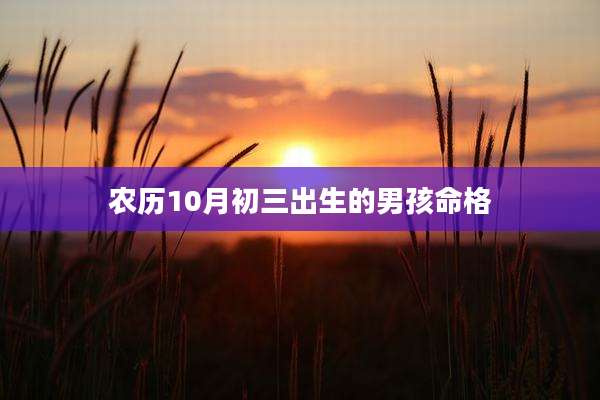 农历10月初三出生的男孩命格