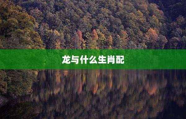 龙与什么生肖配