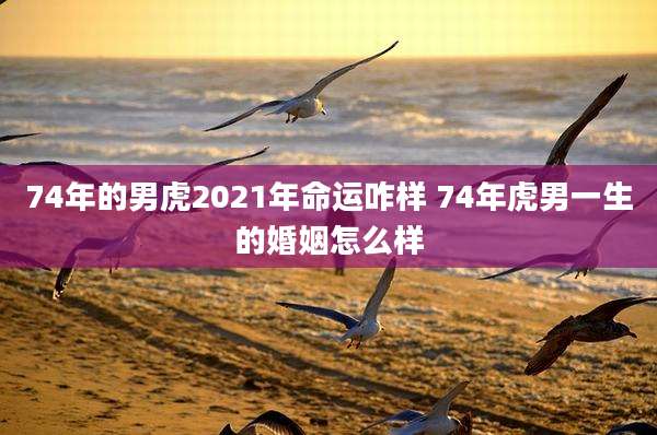74年的男虎2021年命运咋样 74年虎男一生的婚姻怎么样