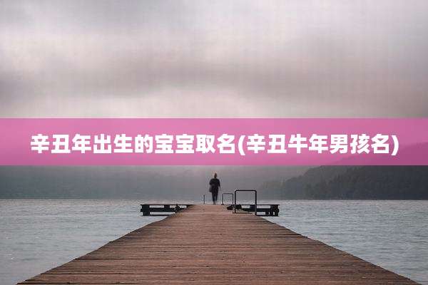 辛丑年出生的宝宝取名(辛丑牛年男孩名)