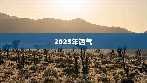 2025年运气