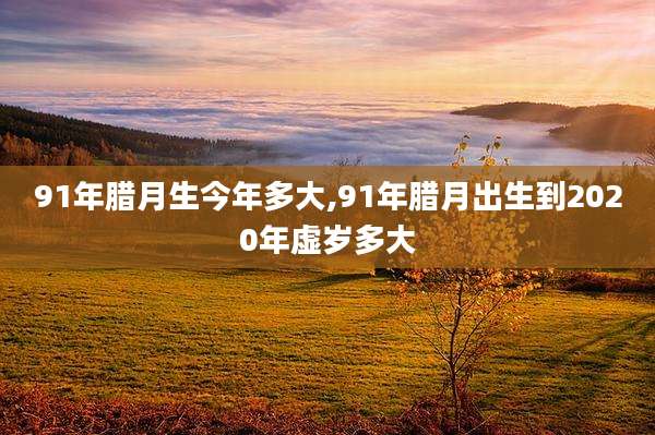 91年腊月生今年多大,91年腊月出生到2020年虚岁多大