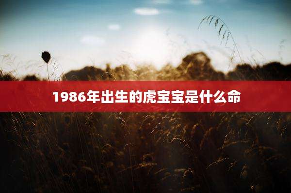 1986年出生的虎宝宝是什么命