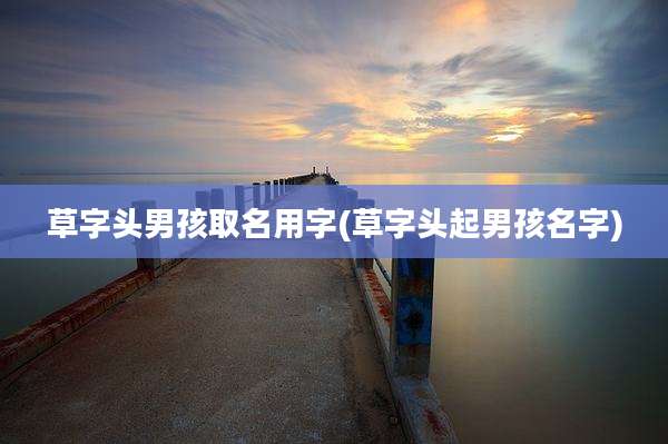 草字头男孩取名用字(草字头起男孩名字)