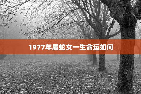 1977年属蛇女一生命运如何