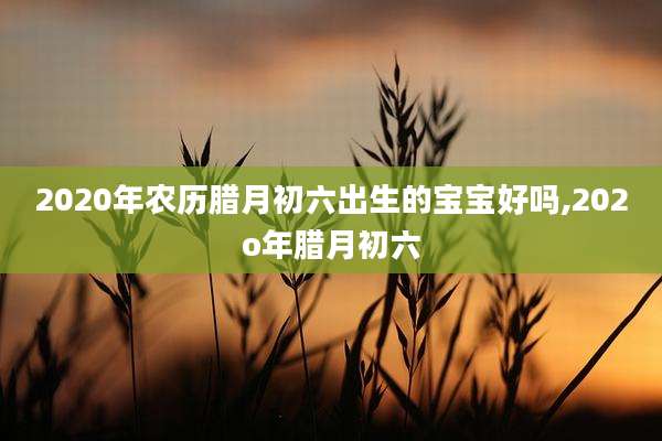 2020年农历腊月初六出生的宝宝好吗,202o年腊月初六