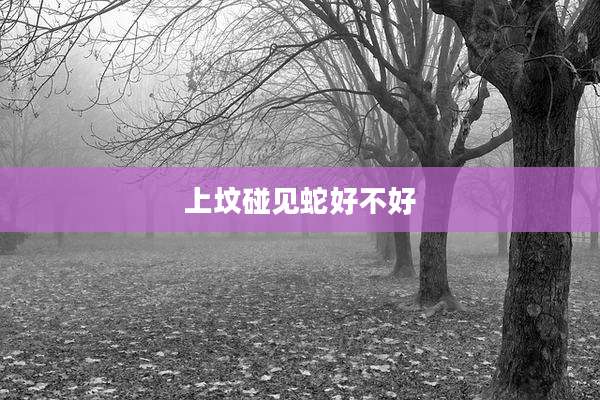 上坟碰见蛇好不好