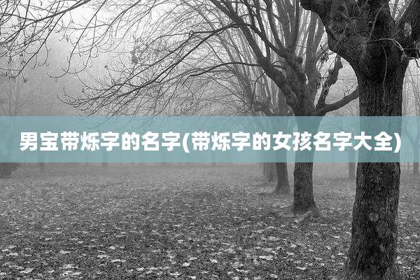 男宝带烁字的名字(带烁字的女孩名字大全)