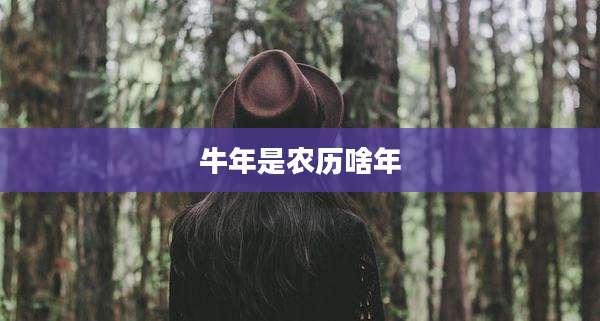 牛年是农历啥年