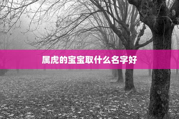 属虎的宝宝取什么名字好