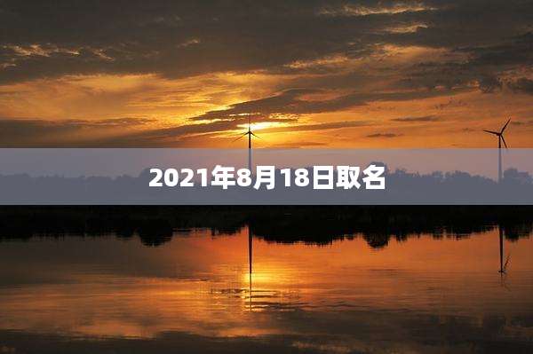 2021年8月18日取名