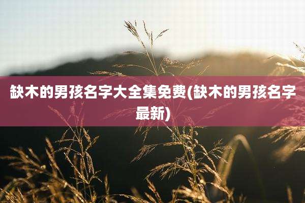 缺木的男孩名字大全集免费(缺木的男孩名字最新)