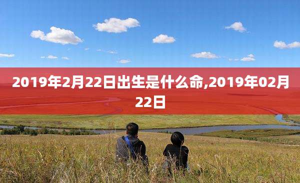 2019年2月22日出生是什么命,2019年02月22日