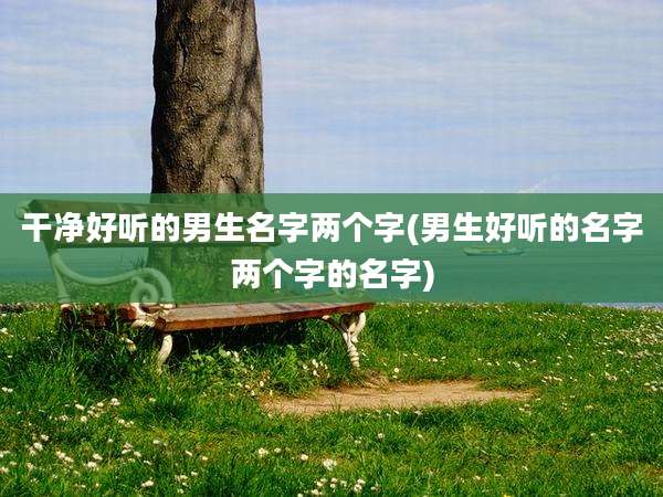 干净好听的男生名字两个字(男生好听的名字两个字的名字)