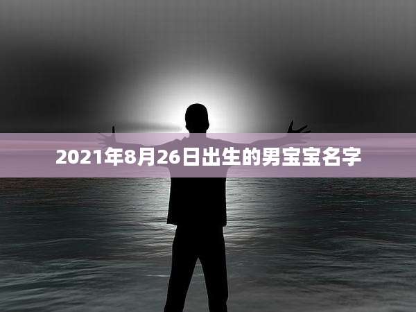 2021年8月26日出生的男宝宝名字