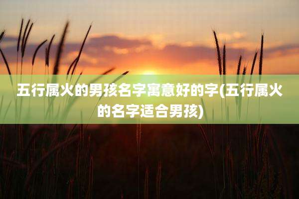 五行属火的男孩名字寓意好的字(五行属火的名字适合男孩)