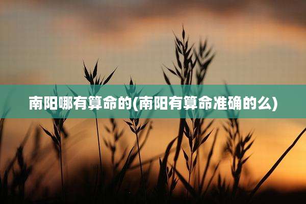 南阳哪有算命的(南阳有算命准确的么)