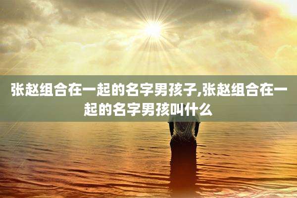 张赵组合在一起的名字男孩子,张赵组合在一起的名字男孩叫什么