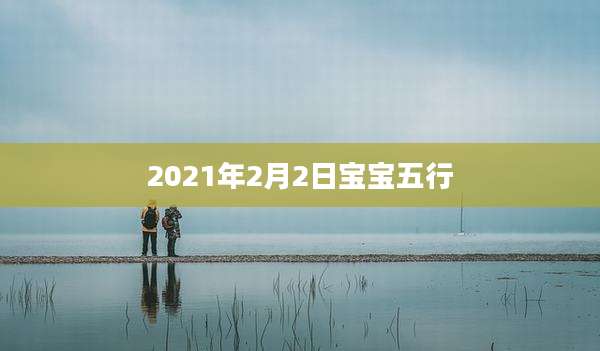 2021年2月2日宝宝五行