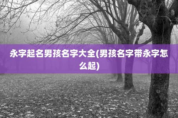 永字起名男孩名字大全(男孩名字带永字怎么起)