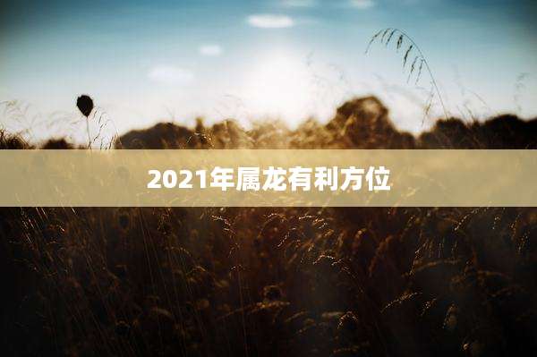 2021年属龙有利方位