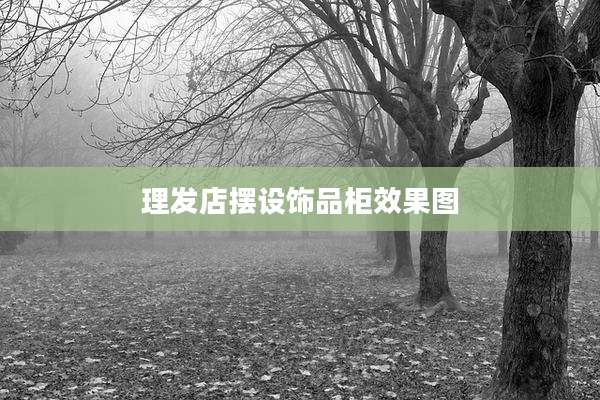 理发店摆设饰品柜效果图