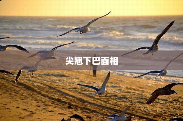 尖翘下巴面相