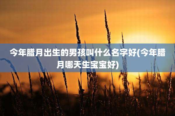 今年腊月出生的男孩叫什么名字好(今年腊月哪天生宝宝好)