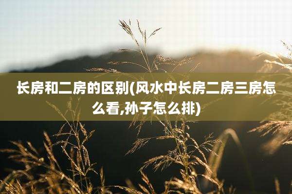 长房和二房的区别(风水中长房二房三房怎么看,孙子怎么排)