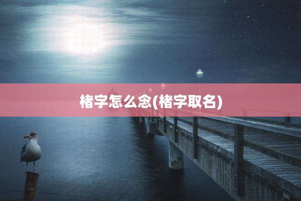 楮字怎么念(楮字取名)