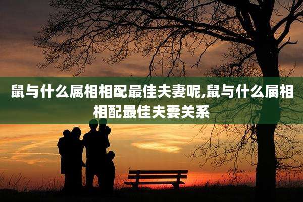 鼠与什么属相相配最佳夫妻呢,鼠与什么属相相配最佳夫妻关系