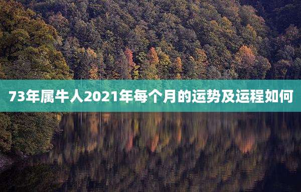 73年属牛人2021年每个月的运势及运程如何