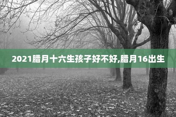 2021腊月十六生孩子好不好,腊月16出生