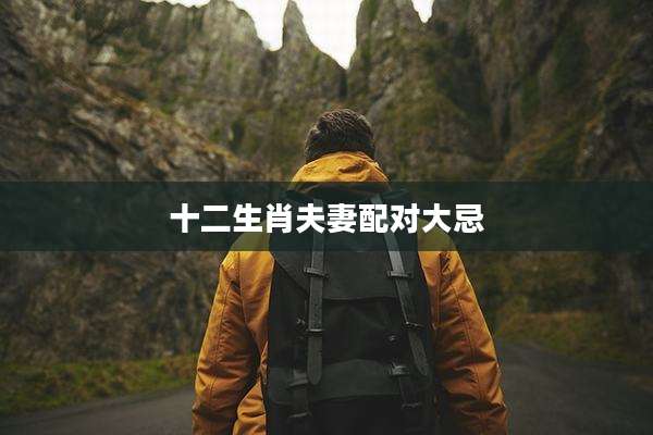 十二生肖夫妻配对大忌
