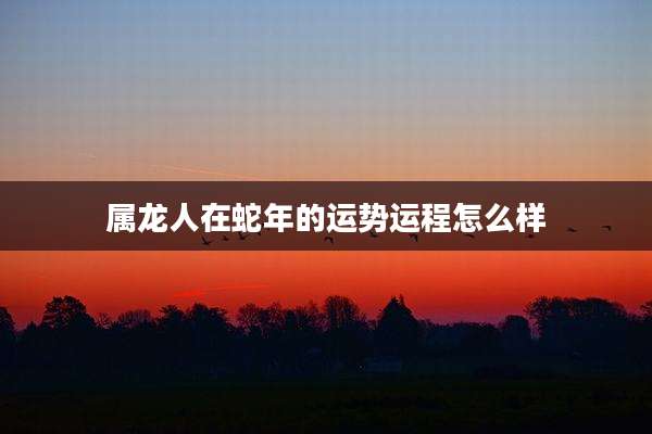 属龙人在蛇年的运势运程怎么样