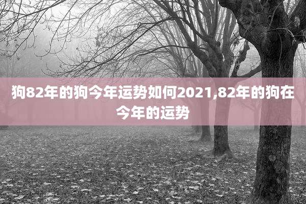 狗82年的狗今年运势如何2021,82年的狗在今年的运势