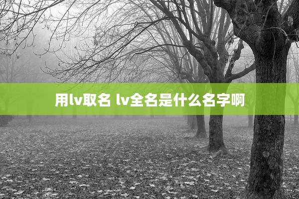 用lv取名 lv全名是什么名字啊