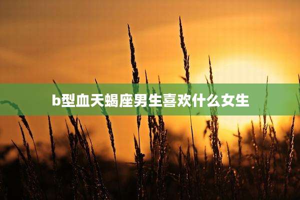 b型血天蝎座男生喜欢什么女生