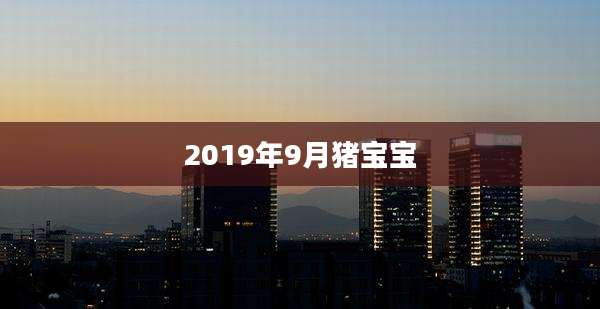 2019年9月猪宝宝