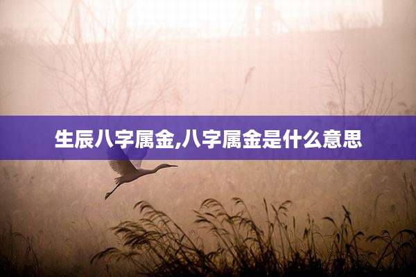 生辰八字属金,八字属金是什么意思