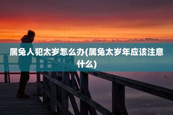 属兔人犯太岁怎么办(属兔太岁年应该注意什么)