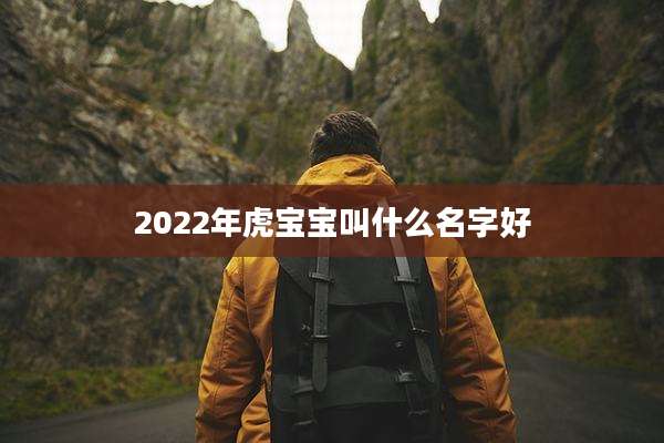 2022年虎宝宝叫什么名字好
